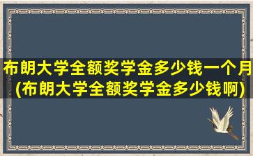 布朗大学全额奖学金多少钱一个月(布朗大学全额奖学金多少钱啊)