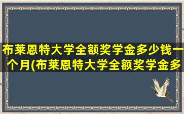 布莱恩特大学全额奖学金多少钱一个月(布莱恩特大学全额奖学金多少钱)