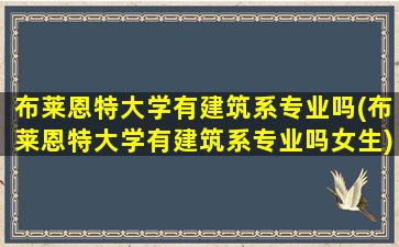 布莱恩特大学有建筑系专业吗(布莱恩特大学有建筑系专业吗女生)