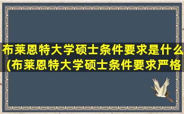 布莱恩特大学硕士条件要求是什么(布莱恩特大学硕士条件要求严格吗)