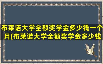 布莱诺大学全额奖学金多少钱一个月(布莱诺大学全额奖学金多少钱啊)