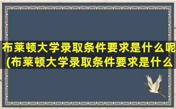 布莱顿大学录取条件要求是什么呢(布莱顿大学录取条件要求是什么样的)