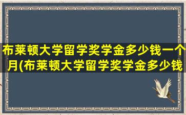 布莱顿大学留学奖学金多少钱一个月(布莱顿大学留学奖学金多少钱)