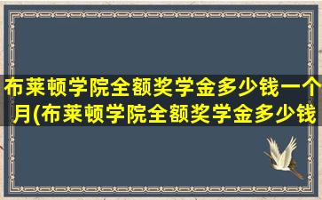 布莱顿学院全额奖学金多少钱一个月(布莱顿学院全额奖学金多少钱一个)