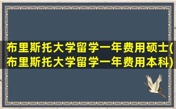 布里斯托大学留学一年费用硕士(布里斯托大学留学一年费用本科)