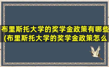 布里斯托大学的奖学金政策有哪些(布里斯托大学的奖学金政策怎么样)