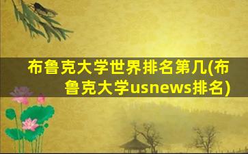 布鲁克大学世界排名第几(布鲁克大学usnews排名)