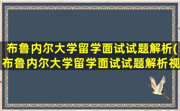 布鲁内尔大学留学面试试题解析(布鲁内尔大学留学面试试题解析视频)