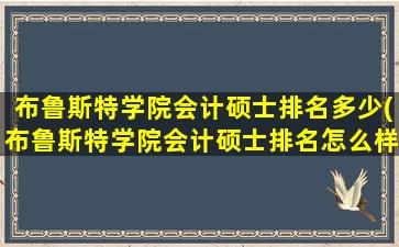 布鲁斯特学院会计硕士排名多少(布鲁斯特学院会计硕士排名怎么样)