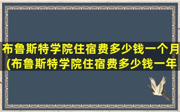 布鲁斯特学院住宿费多少钱一个月(布鲁斯特学院住宿费多少钱一年)