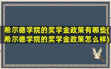 希尔德学院的奖学金政策有哪些(希尔德学院的奖学金政策怎么样)