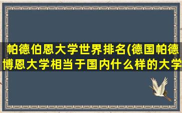 帕德伯恩大学世界排名(德国帕德博恩大学相当于国内什么样的大学)