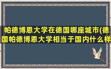 帕德博恩大学在德国哪座城市(德国帕德博恩大学相当于国内什么样的大学)