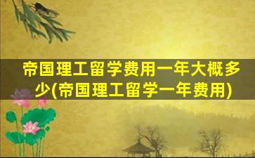 帝国理工留学费用一年大概多少(帝国理工留学一年费用)