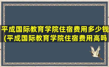 平成国际教育学院住宿费用多少钱(平成国际教育学院住宿费用高吗)