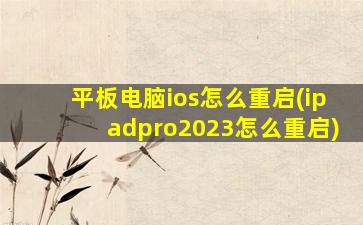 平板电脑ios怎么重启(ipadpro2023怎么重启)