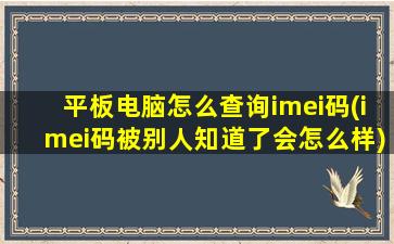 平板电脑怎么查询imei码(imei码被别人知道了会怎么样)