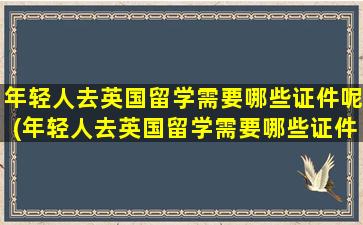 年轻人去英国留学需要哪些证件呢(年轻人去英国留学需要哪些证件材料)