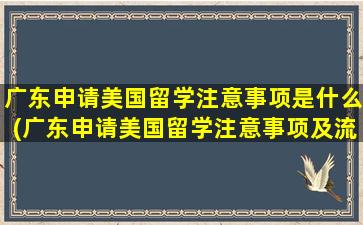 广东申请美国留学注意事项是什么(广东申请美国留学注意事项及流程)