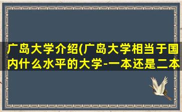 广岛大学介绍(广岛大学相当于国内什么水平的大学-一本还是二本-)