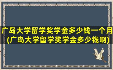 广岛大学留学奖学金多少钱一个月(广岛大学留学奖学金多少钱啊)