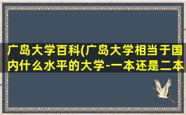 广岛大学百科(广岛大学相当于国内什么水平的大学-一本还是二本-)