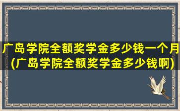 广岛学院全额奖学金多少钱一个月(广岛学院全额奖学金多少钱啊)