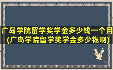 广岛学院留学奖学金多少钱一个月(广岛学院留学奖学金多少钱啊)