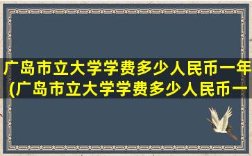 广岛市立大学学费多少人民币一年(广岛市立大学学费多少人民币一个月)