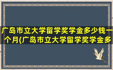 广岛市立大学留学奖学金多少钱一个月(广岛市立大学留学奖学金多少钱啊)