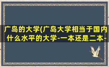 广岛的大学(广岛大学相当于国内什么水平的大学-一本还是二本-)