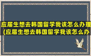 应届生想去韩国留学我该怎么办理(应届生想去韩国留学我该怎么办手续)