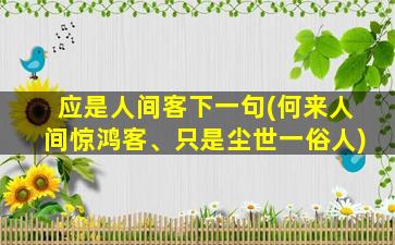 应是人间客下一句(何来人间惊鸿客、只是尘世一俗人)