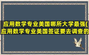 应用数学专业美国哪所大学最强(应用数学专业美国签证要去调查的吗)