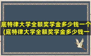 底特律大学全额奖学金多少钱一个(底特律大学全额奖学金多少钱一年)