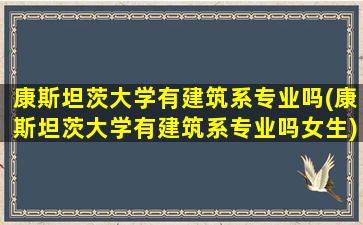 康斯坦茨大学有建筑系专业吗(康斯坦茨大学有建筑系专业吗女生)