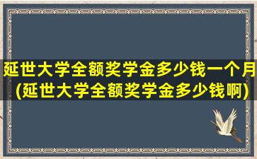 延世大学全额奖学金多少钱一个月(延世大学全额奖学金多少钱啊)