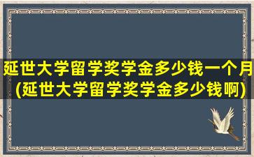 延世大学留学奖学金多少钱一个月(延世大学留学奖学金多少钱啊)