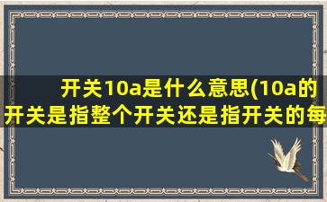 开关10a是什么意思(10a的开关是指整个开关还是指开关的每一开)