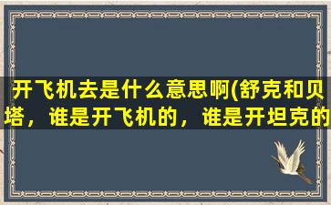 开飞机去是什么意思啊(舒克和贝塔，谁是开飞机的，谁是开坦克的)