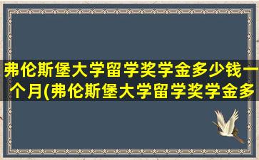 弗伦斯堡大学留学奖学金多少钱一个月(弗伦斯堡大学留学奖学金多少钱)