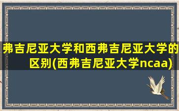 弗吉尼亚大学和西弗吉尼亚大学的区别(西弗吉尼亚大学ncaa)