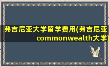 弗吉尼亚大学留学费用(弗吉尼亚commonwealth大学)