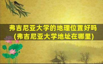 弗吉尼亚大学的地理位置好吗(弗吉尼亚大学地址在哪里)