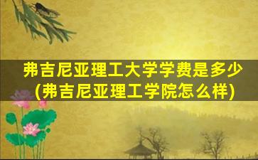 弗吉尼亚理工大学学费是多少(弗吉尼亚理工学院怎么样)