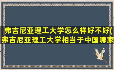 弗吉尼亚理工大学怎么样好不好(弗吉尼亚理工大学相当于中国哪家大学水平)