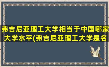 弗吉尼亚理工大学相当于中国哪家大学水平(弗吉尼亚理工大学是名校吗)