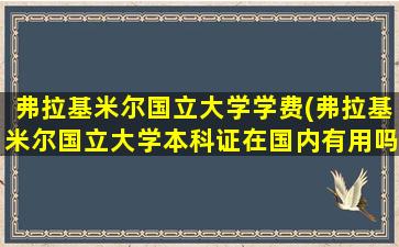 弗拉基米尔国立大学学费(弗拉基米尔国立大学本科证在国内有用吗)