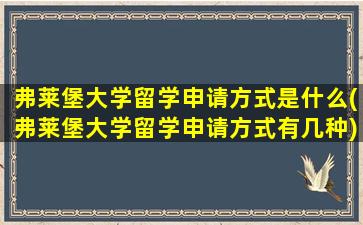 弗莱堡大学留学申请方式是什么(弗莱堡大学留学申请方式有几种)