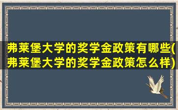 弗莱堡大学的奖学金政策有哪些(弗莱堡大学的奖学金政策怎么样)